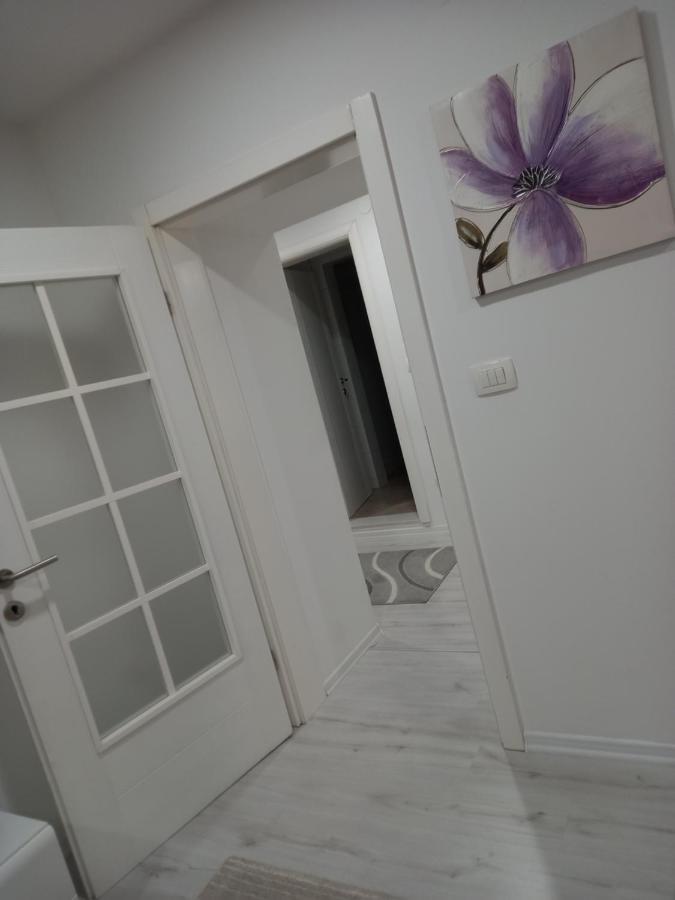 Aine apartman u centru grada Mostar Exterior foto